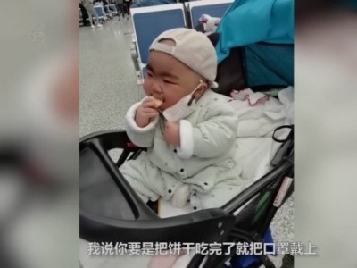 小萌娃“教科書式”吃餅干